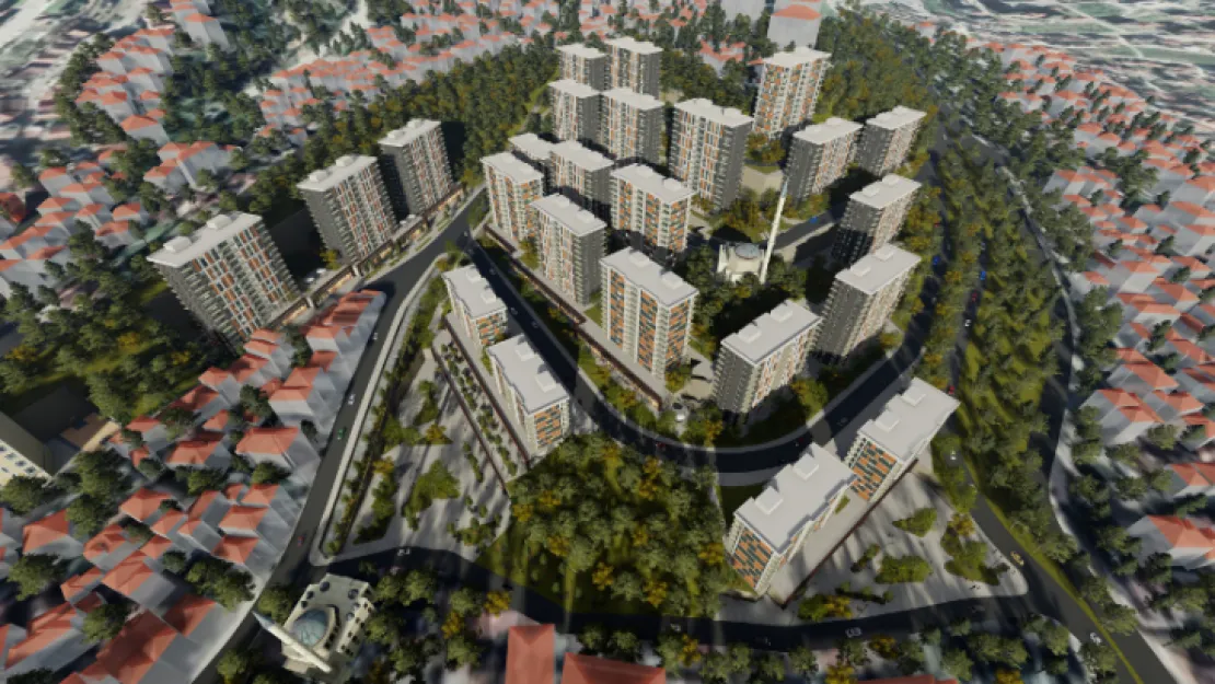 Cedit'e 2 talipli