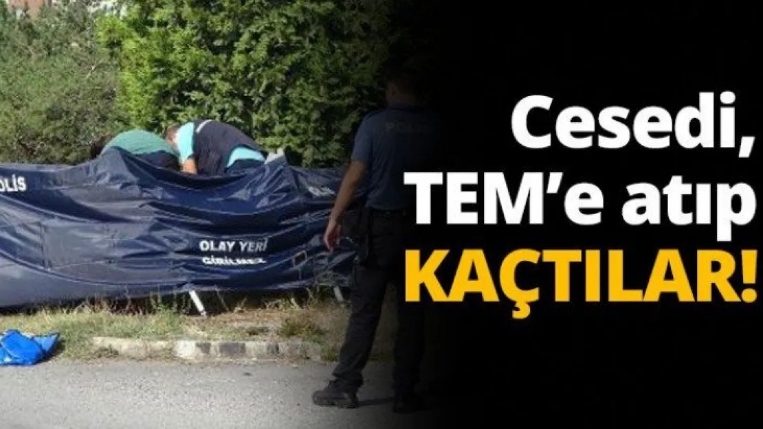 Cesedİ, TEM'e atıp kaçtılar