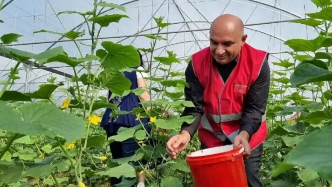 CHP Kocaeli'den örnek proje: 'Halkın serası projesi'