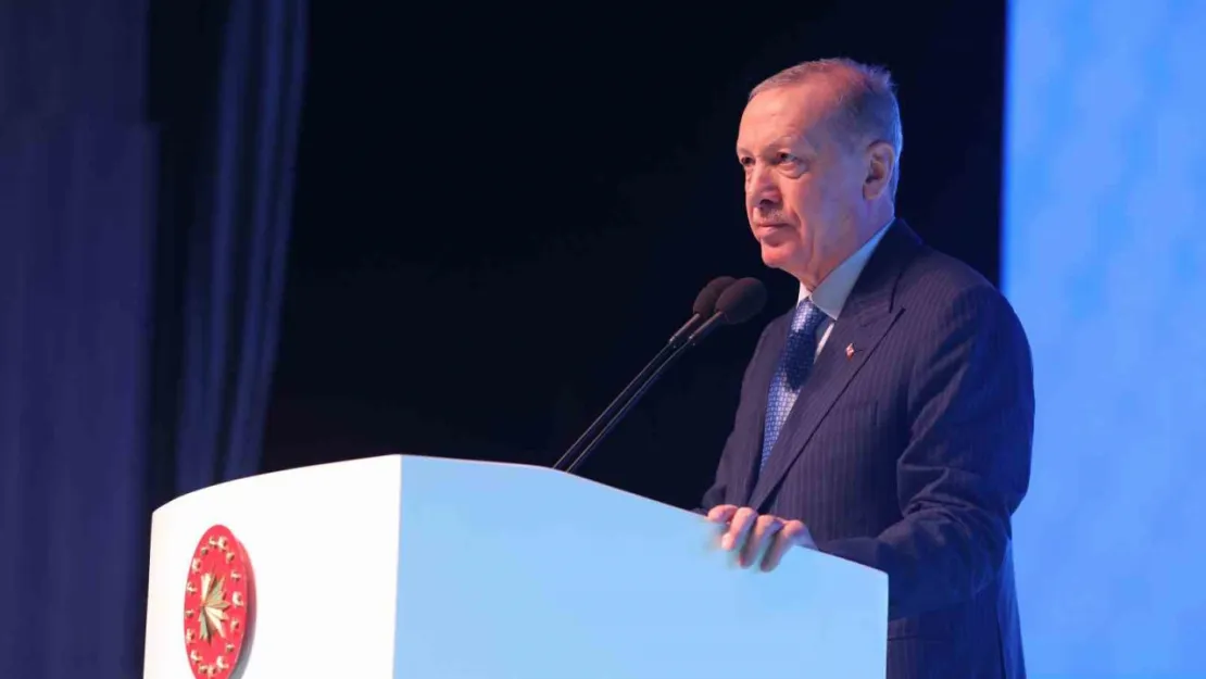 Cumhurbaşkanı Erdoğan: Bu kılıçları kime çekiyorsunuz?