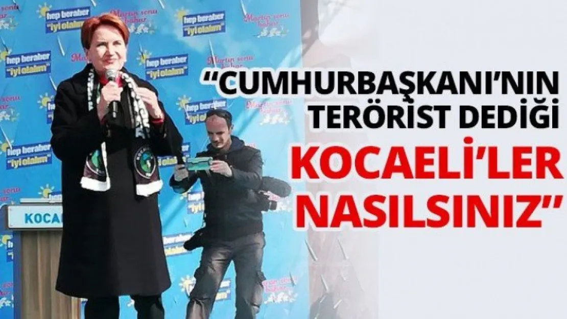 'Cumhurbaşkanı'nın terörist dediği Kocaeli'ler nasılsınız'