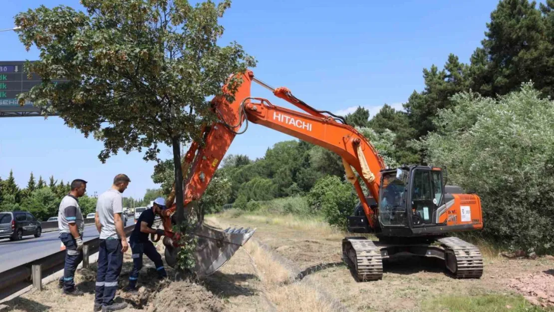 Dev projeye start verildi