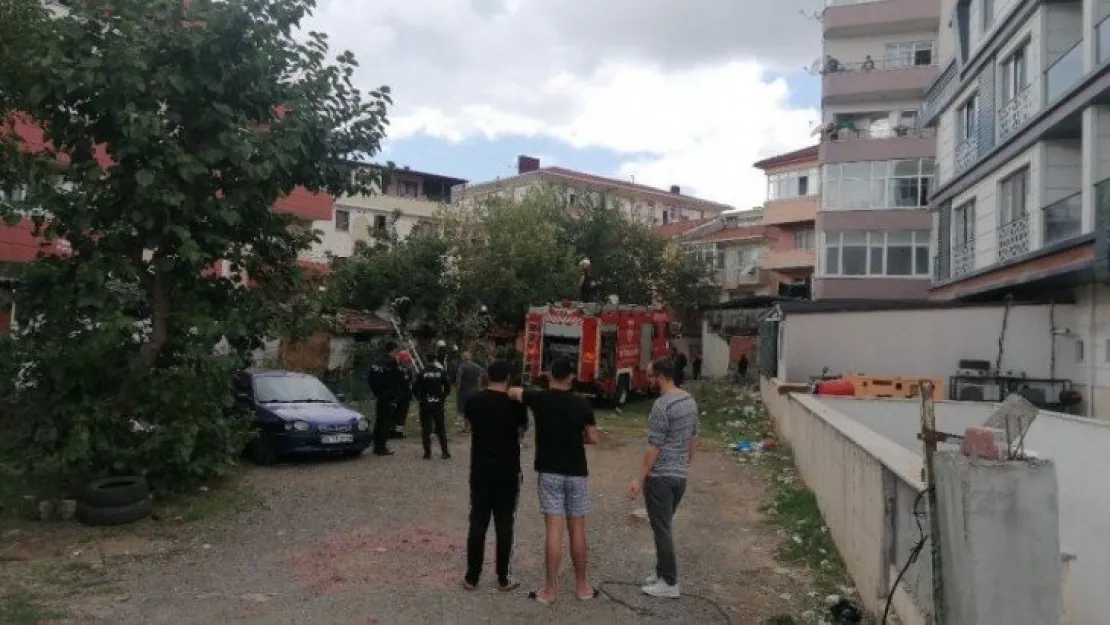 Darıca'da kömürlük yangını