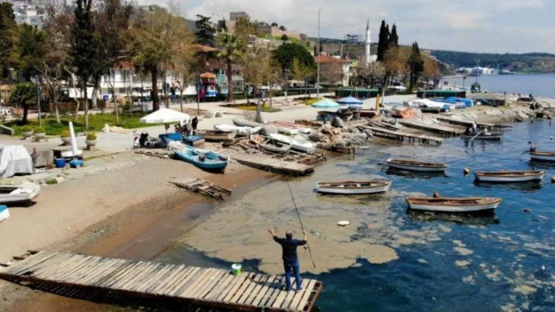 Deniz yüzeyini kaplayan tabaka balıkçılara darbe vurdu
