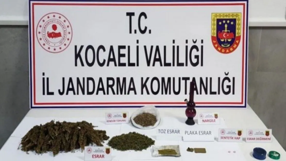 Derince'de yüzlerce kök kenevir ele geçirildi!