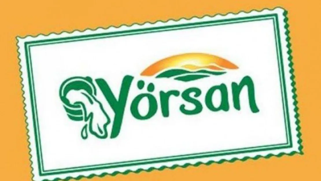 Dev firmaya kayyum atandı!
