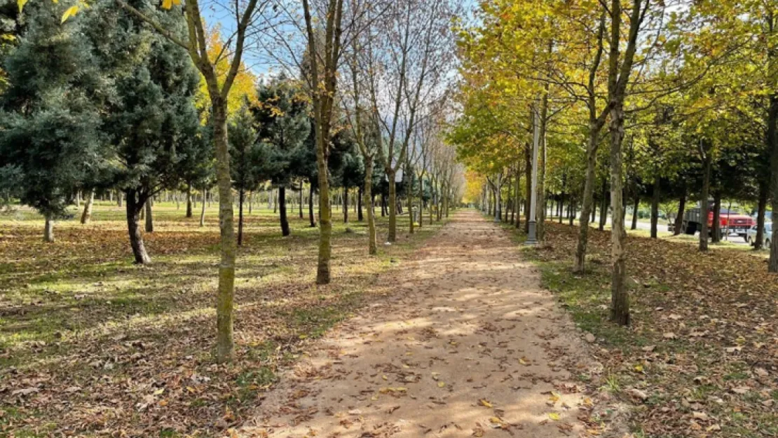 Dev mesire alanında sona gelindi