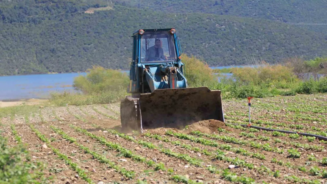 Devlet çiftçiye ekin diyor, DSİ ekili alanları düzlüyor