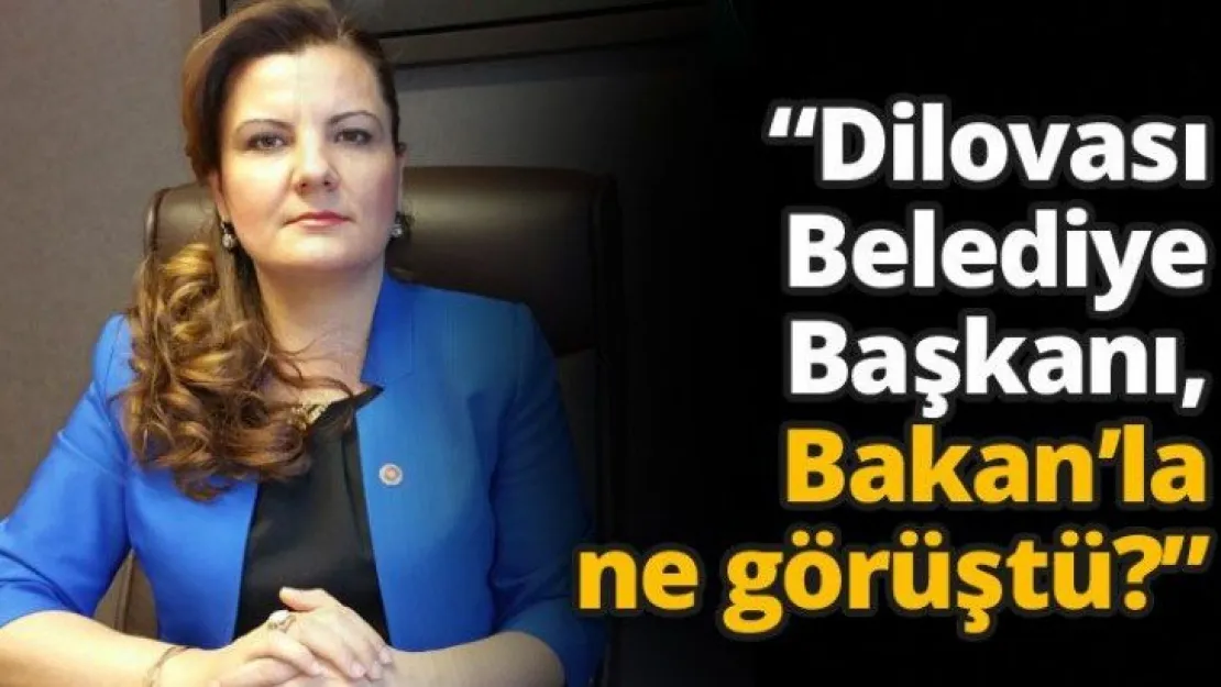 'Dilovası Belediye Başkanı, Bakan'la ne görüştü?'
