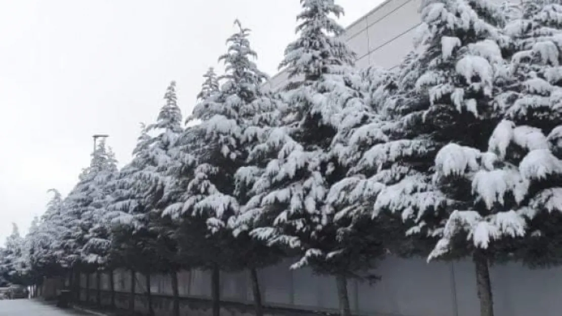 Dilovası'nda kar yağışı etkili oldu