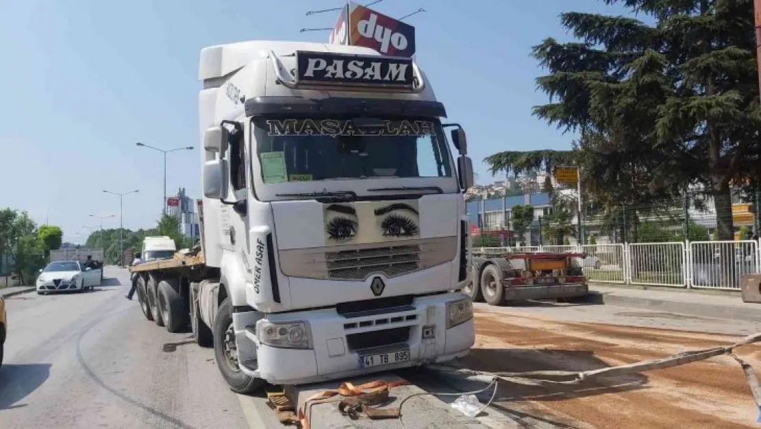 Direksiyonu kilitlenen tır direğe çarptı
