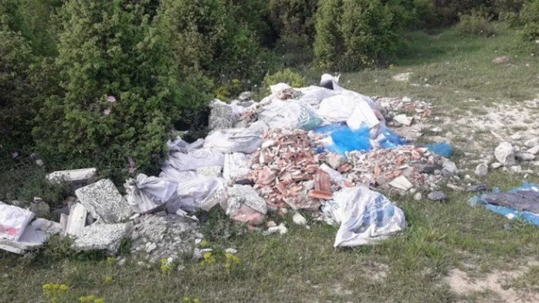Doğa katilleri iş başında