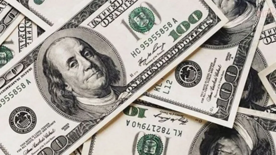 Dolar 14 TL'nin üzerine çıktı 