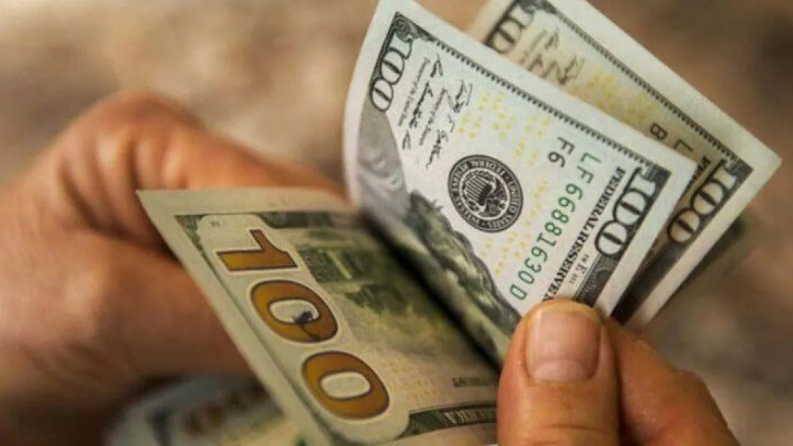 Dolar yine rekor tazeledi!