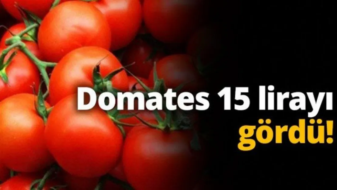 Domates 15 lirayı gördü!