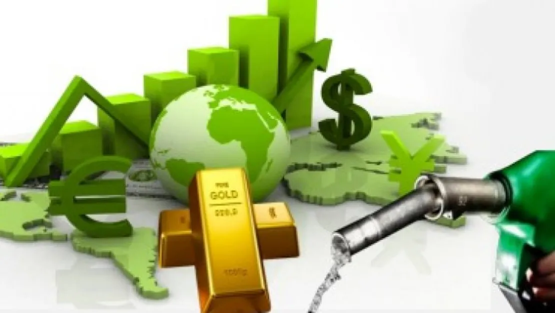 Döviz yükselemiyor, altın ve petrol uçuyor