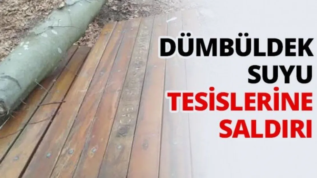 Dümbüldek suyu tesislerine saldırı
