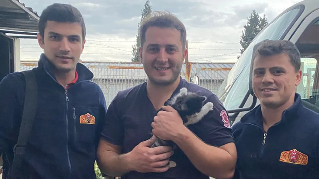 Duvara sıkışan kedi kurtarıldı
