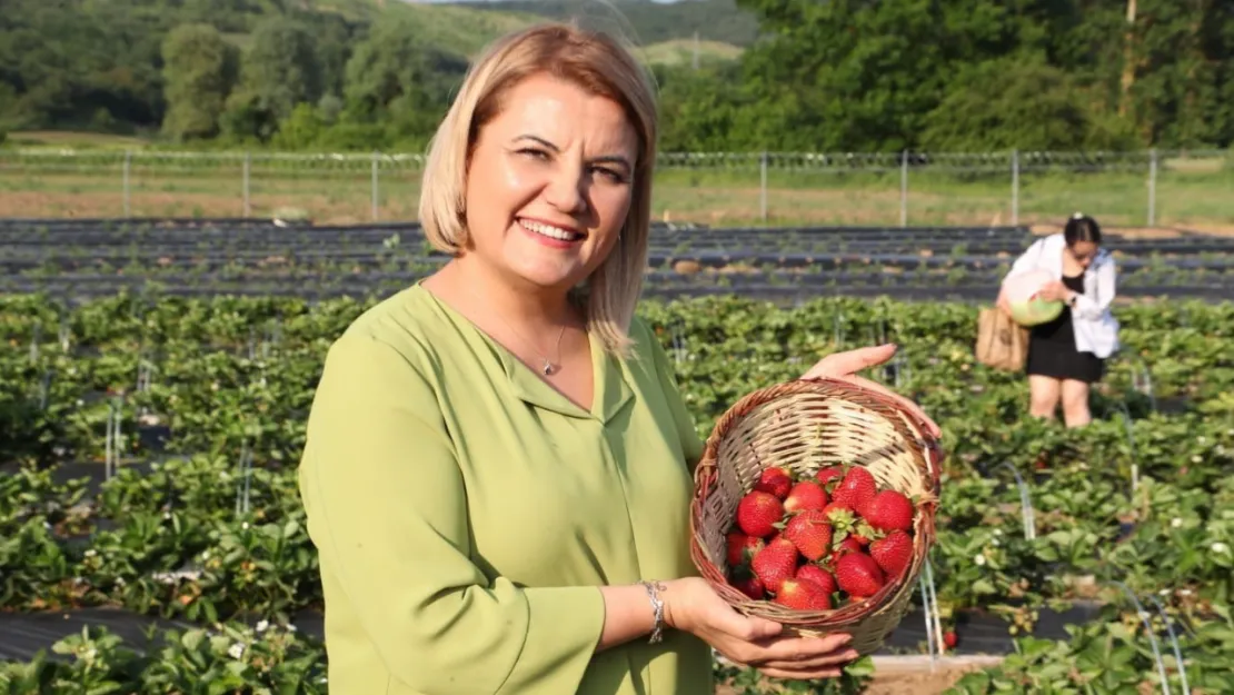 Eski özel kalem müdüründen Fatma Kaplan Hürriyet için şok iddialar