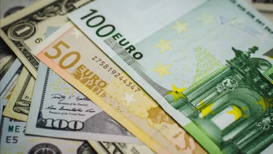 Euro rekor tazeledi
