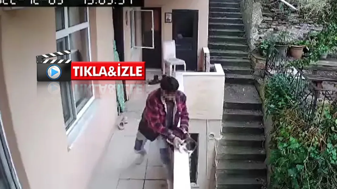 Evden kaçan kediyi böyle yumrukladı