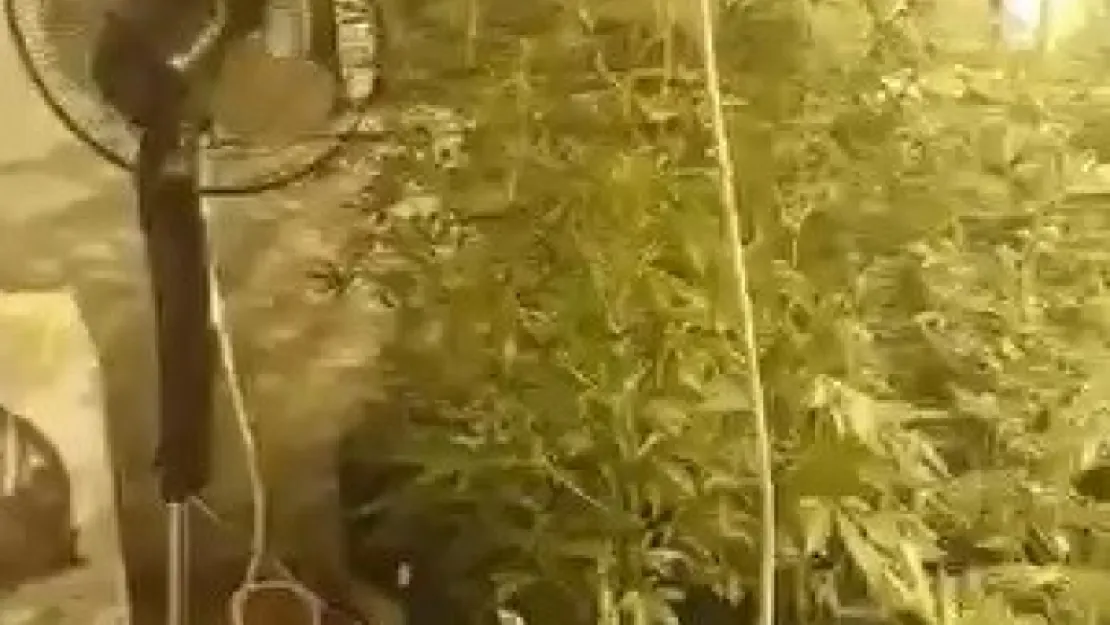 Evini uyuşturucu serasına çeviren şahıslar tutuklandı!