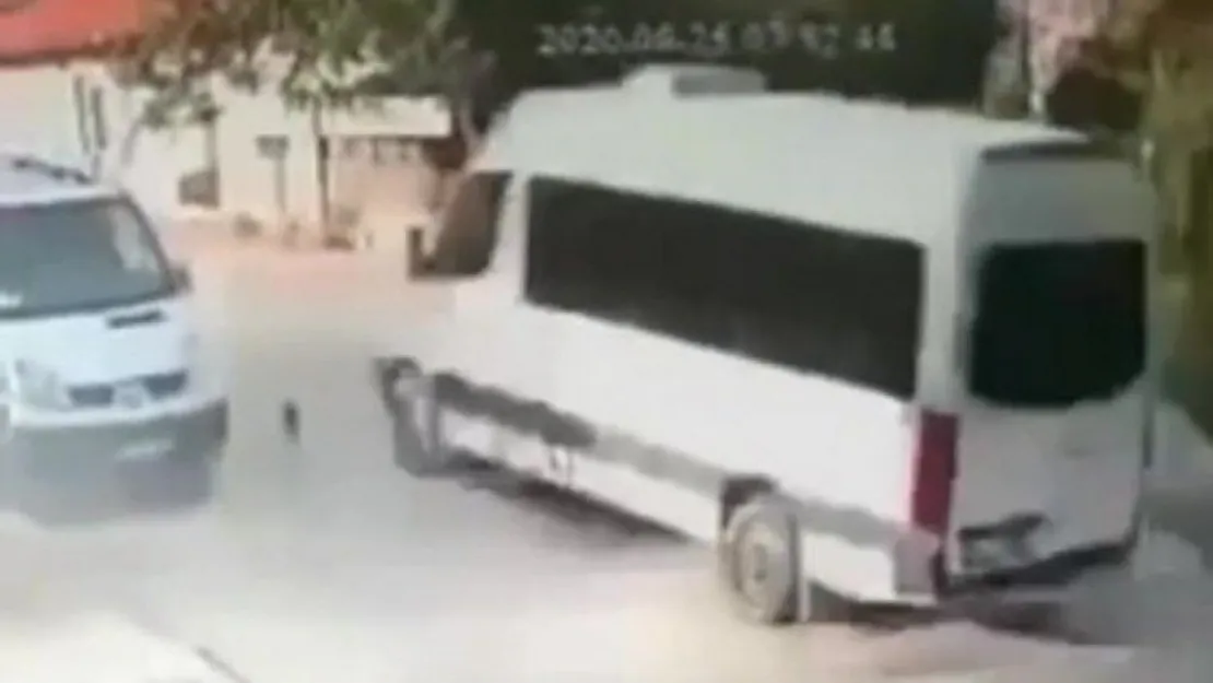 Ezdiği kedi can çekişirken bir kez daha üzerinden geçti!