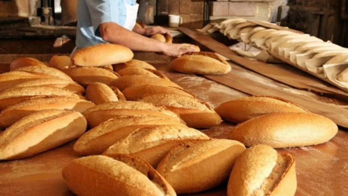 Fabrika kurulacak: 81 ilde ucuza ekmek satılacak