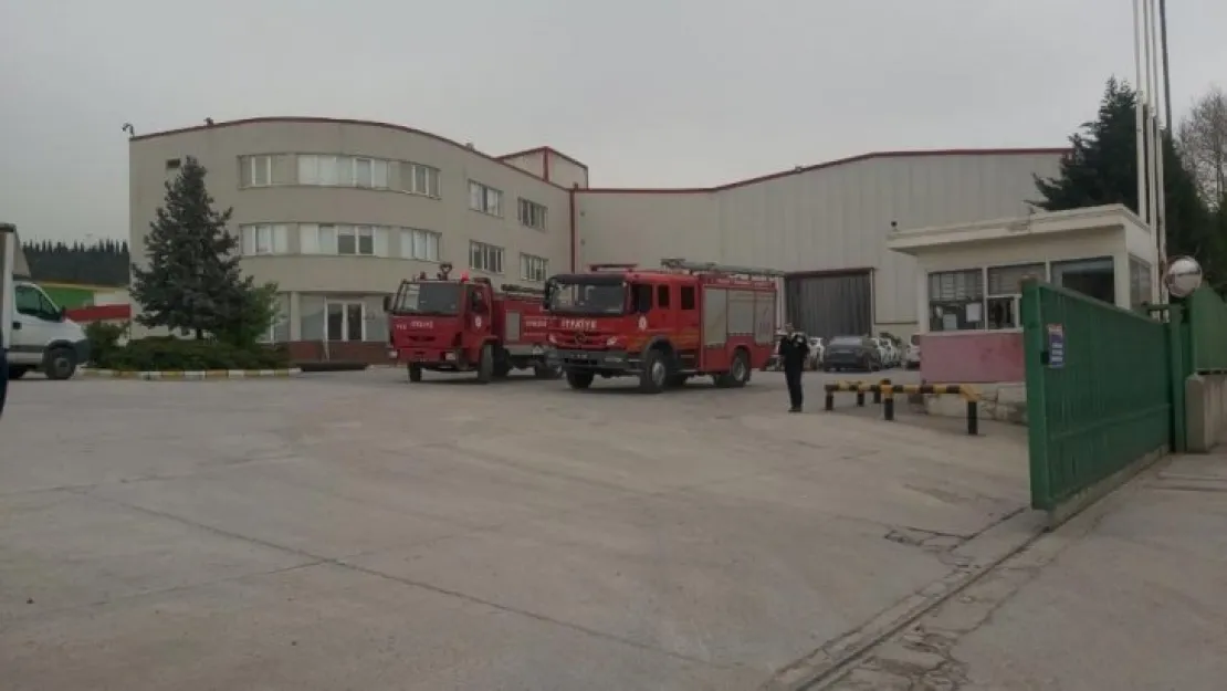 Fabrikanın üretim bölümü yandı!