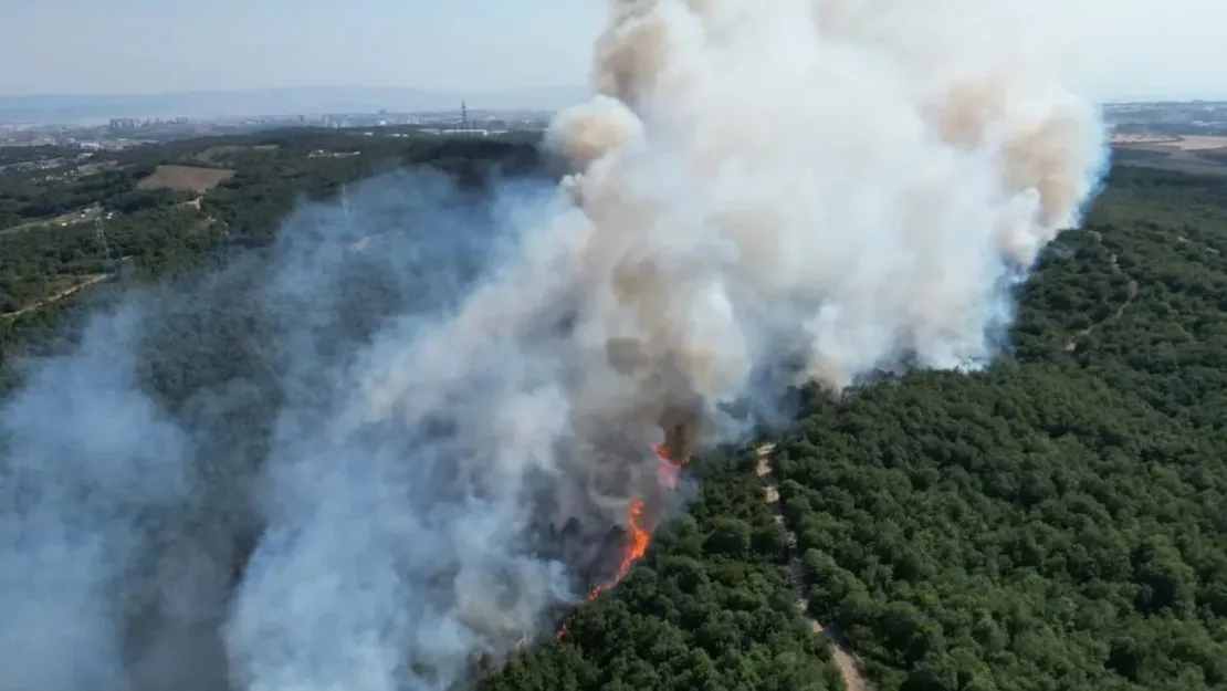 Gebze'de çıkan orman yangını kontrol altına alındı