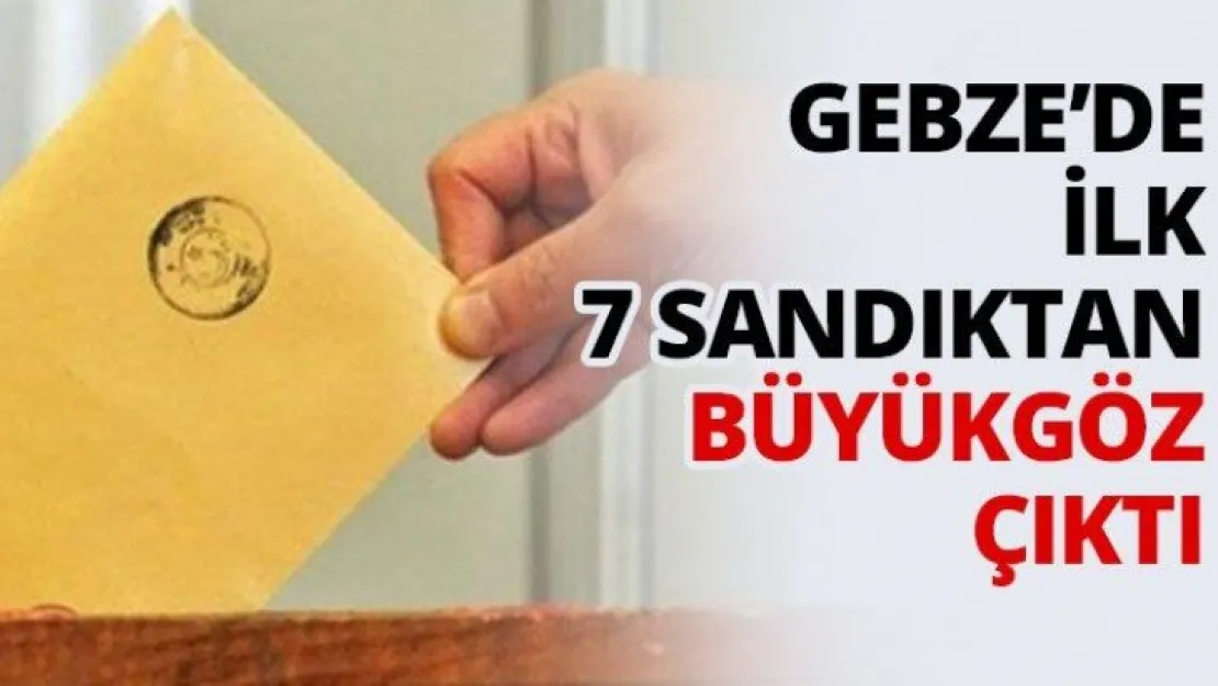 Gebze'de ilk 7 sandıktan Büyükgöz çıktı
