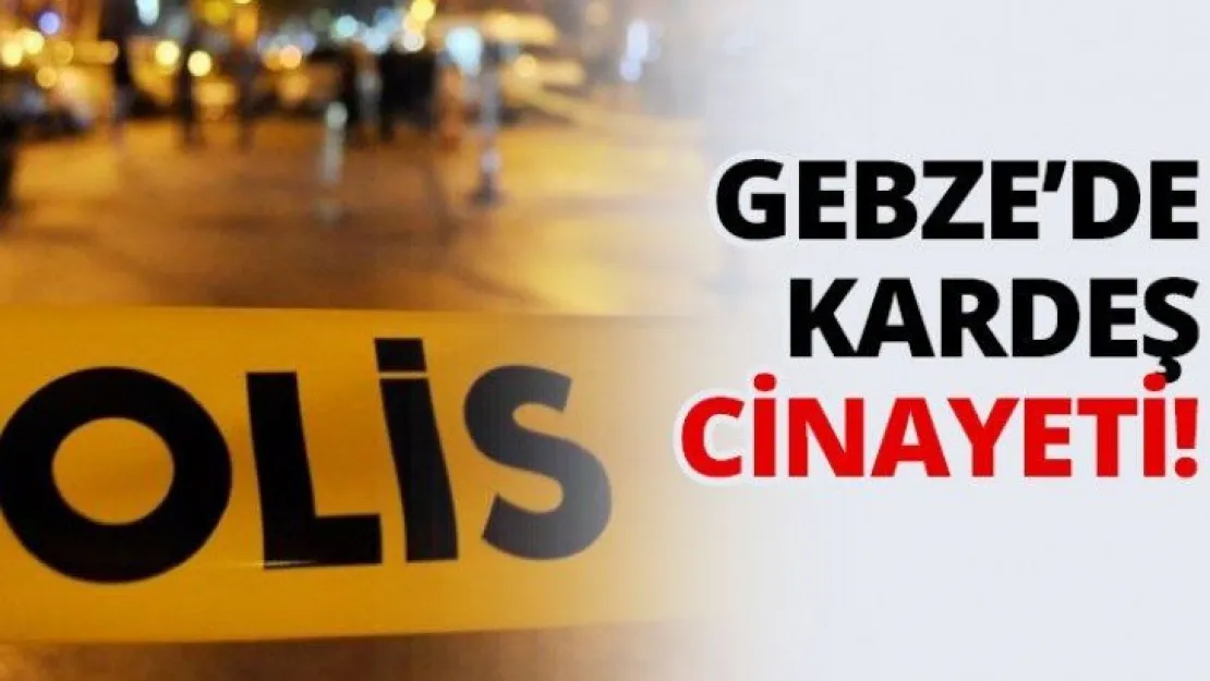 Gebze'de kardeş cinayeti!