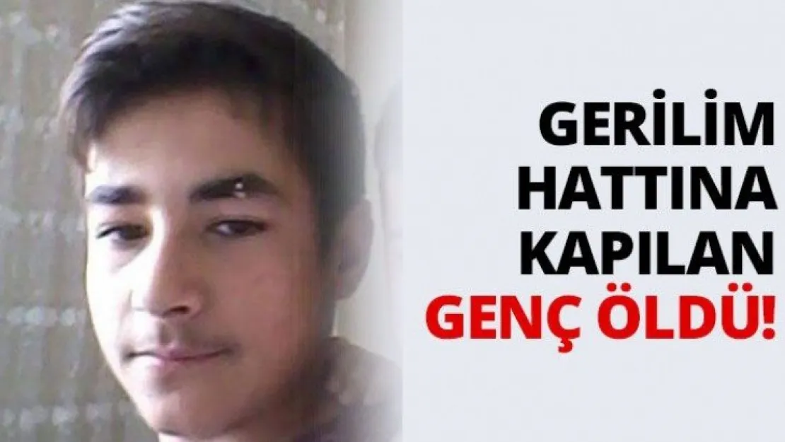 Gerilim hattına kapılan genç öldü!