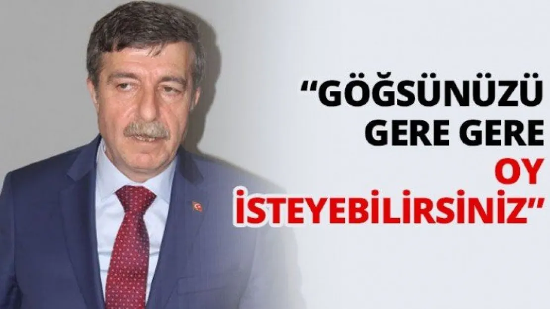 'Göğsünüzü gere gere oy isteyebilirsiniz'