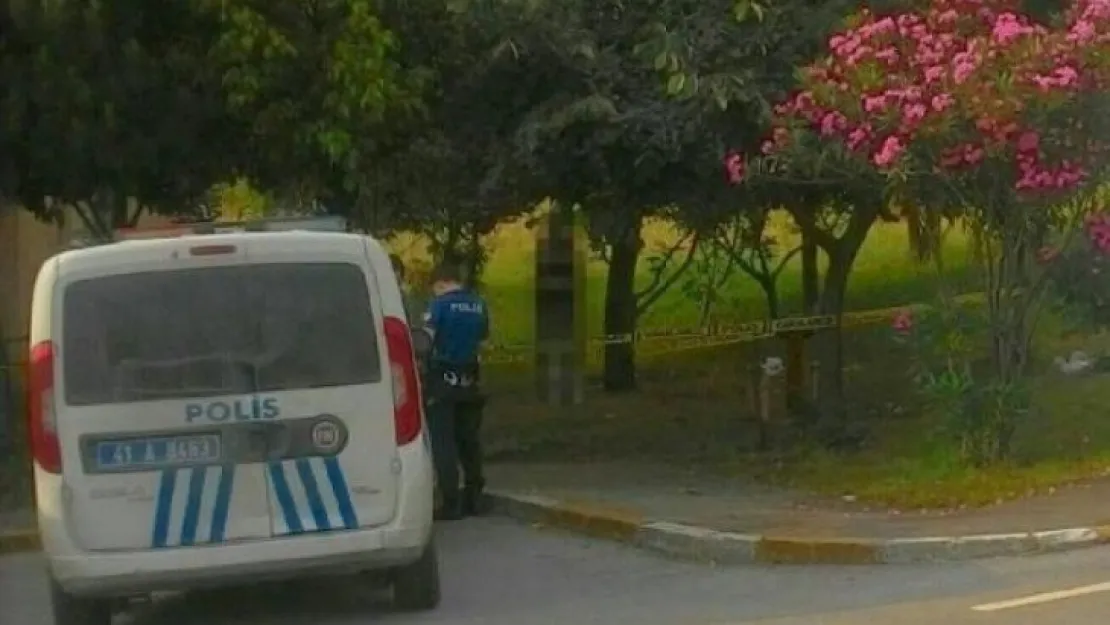 Gölcük'te Kendisini ağaca asıp, intihar etti!