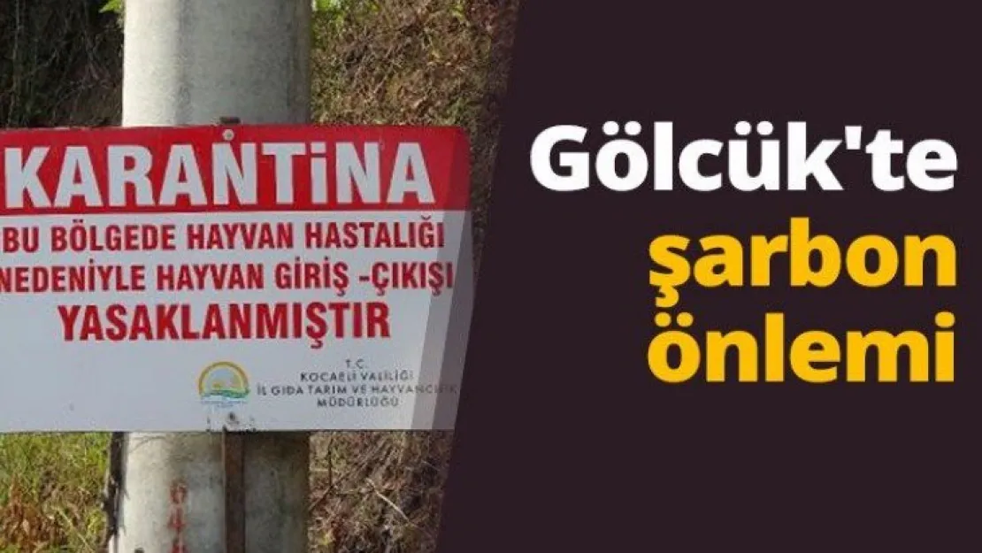 Gölcük'te şarbon önlemi