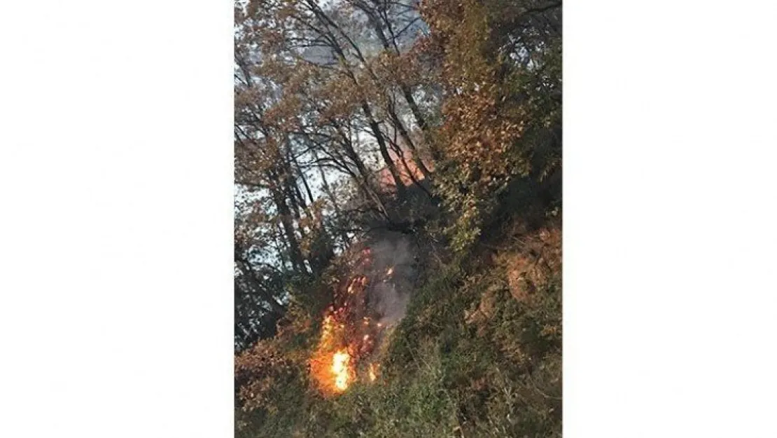 Gölcük'te yangın!