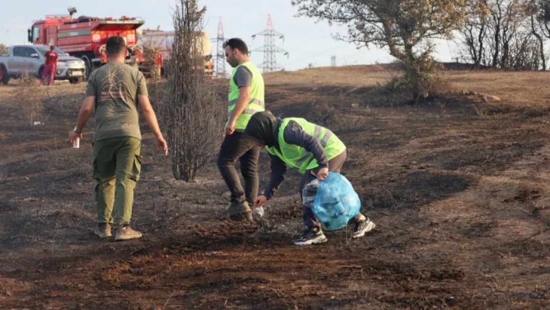 Yanan ormanlık alandaki çöpleri topladılar