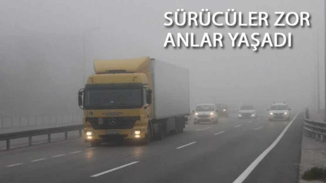 Göz gözü görmüyor hep pus!