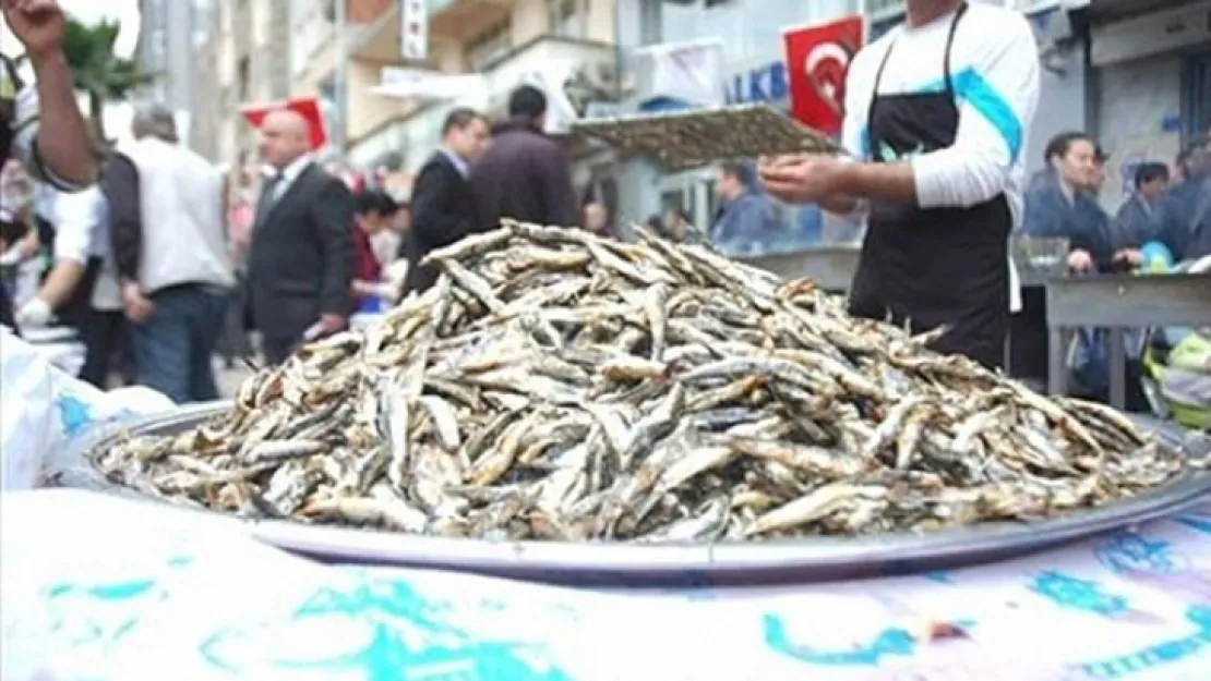 Hamsi Festivali'ni sakın kaçırmayın!