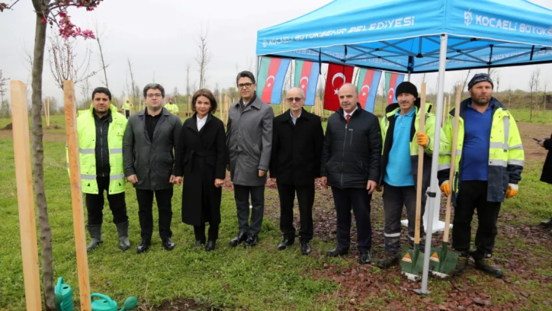 Haydar Aliyev'in anısına 100 fidan