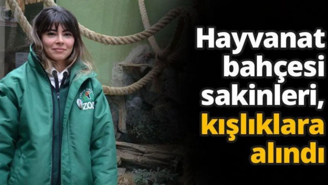 Hayvanat bahçesi sakinleri, kışlıklara alındı