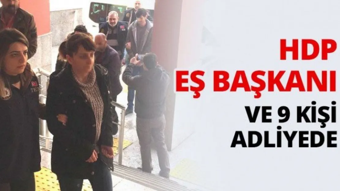 HDP eş başkanı ve 9 kişi adliyede