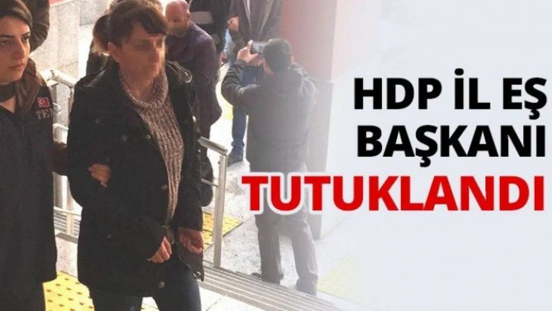 HDP İl eş Başkanı tutuklandı