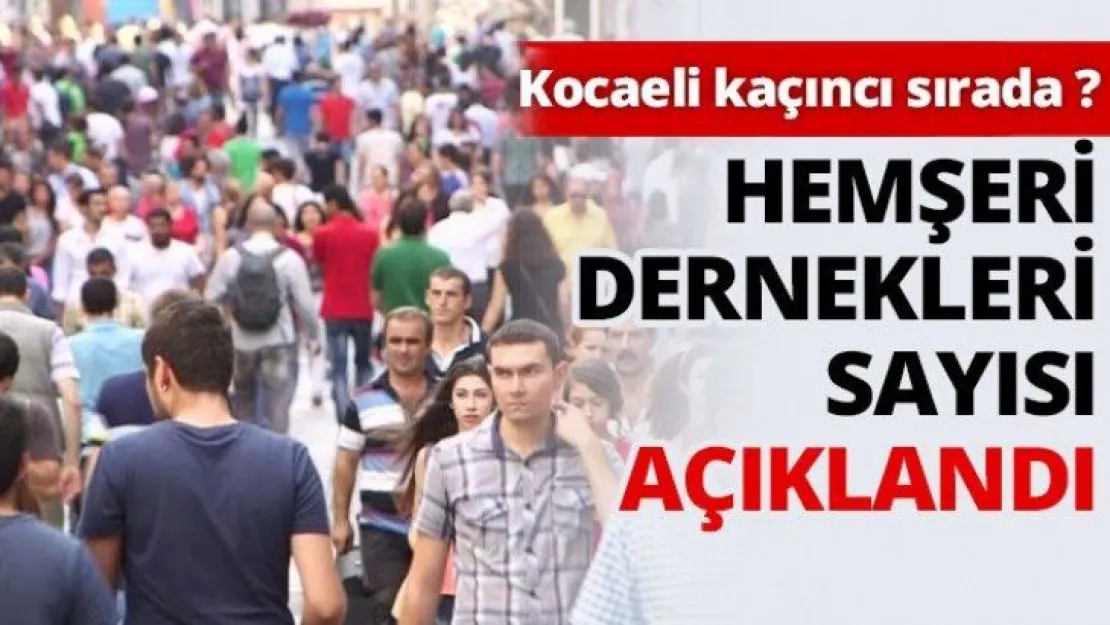 Hemşeri dernekleri sayısı açıklandı