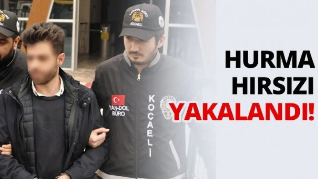 Hurma hırsızı yakalandı!