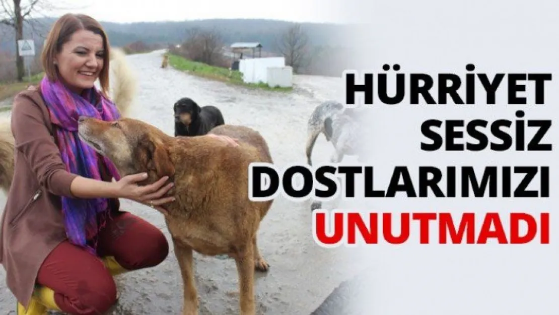 Hürriyet sessiz dostlarımızı unutmadı