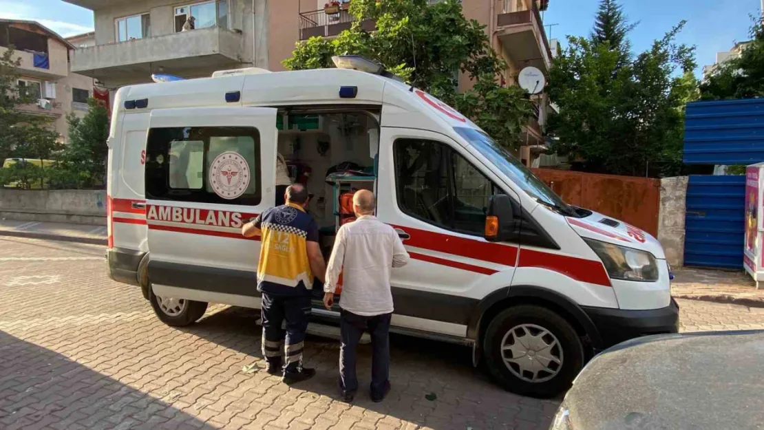 Ağaçtan düşerek demir korkuluklara saplandı