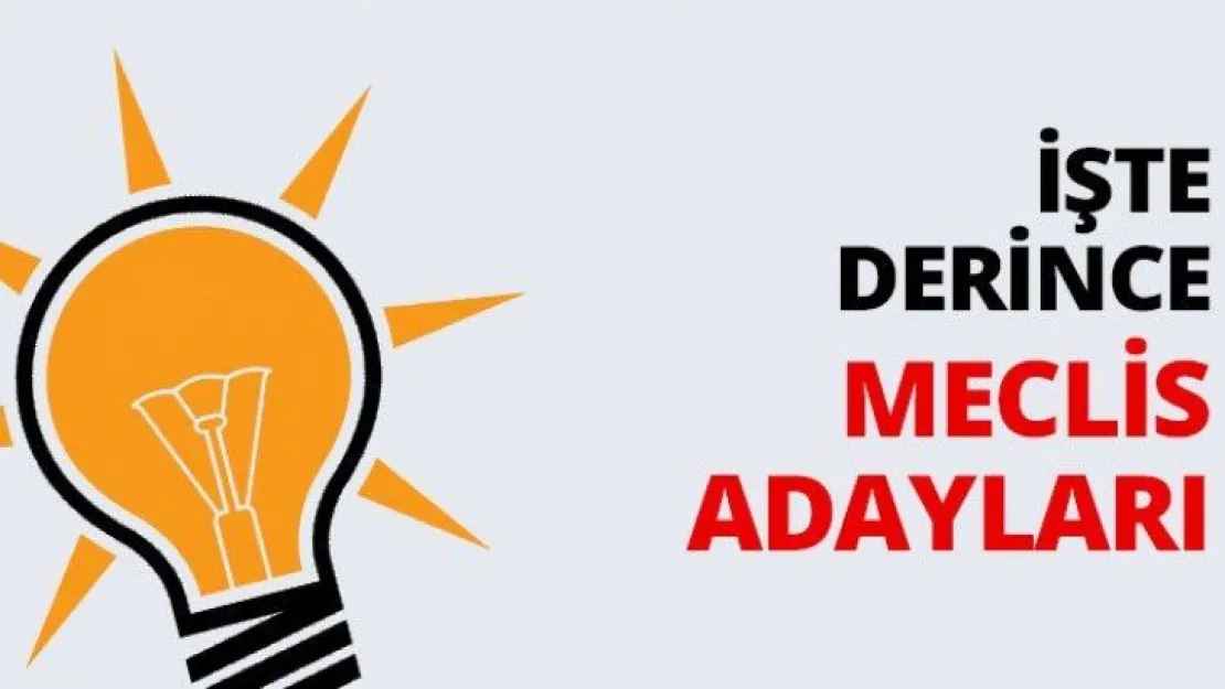 İşte Derince Meclis adayları