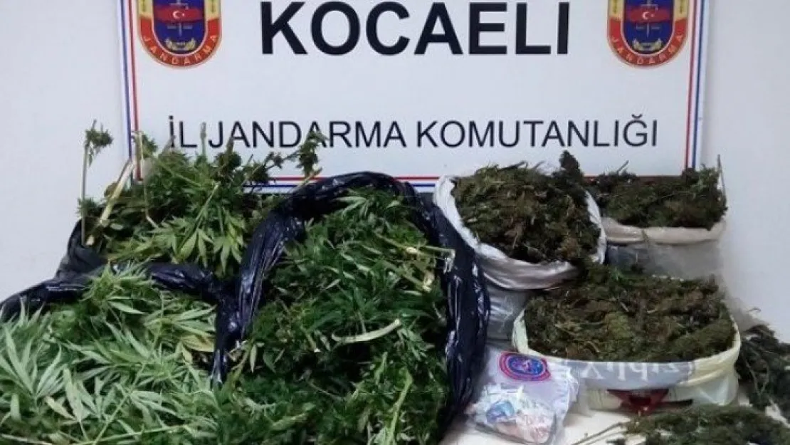 İşte Kocaeli'nin haftalık zehir raporu!
